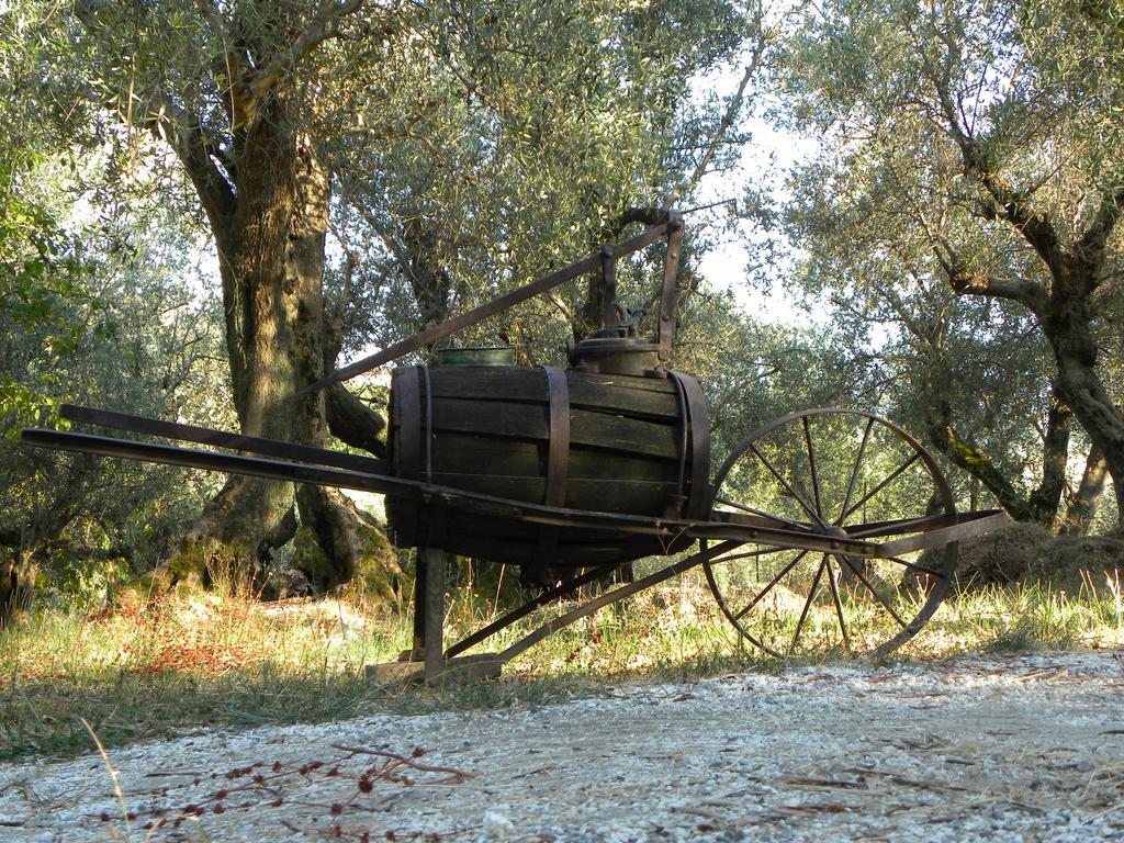 Fattoria Di Camporomano Массароза Екстер'єр фото