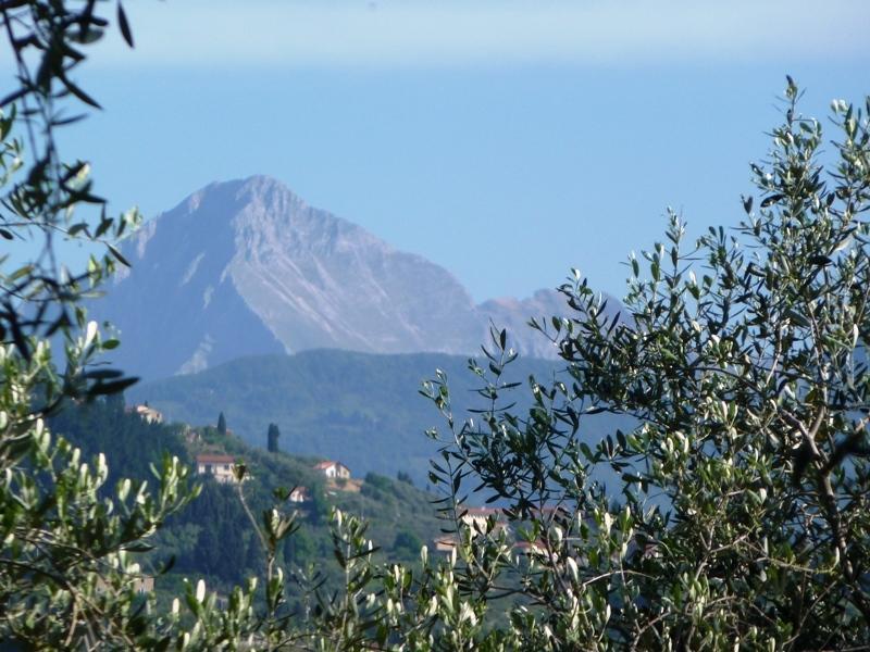 Fattoria Di Camporomano Массароза Екстер'єр фото